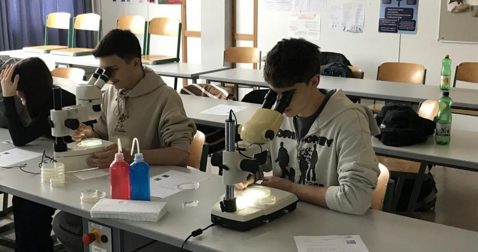 Wahlpflichtfach Biologie